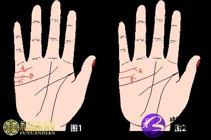 手纹线 Q2：人的手纹怎么看？三条线各代表什么意思？