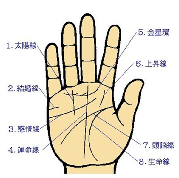 男性右手4条掌纹分别代表什么？男性手相图解生命之线