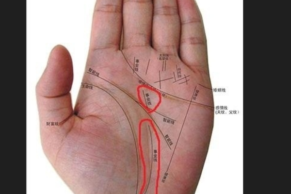 事业线以线直且人的手掌有哪几种线？