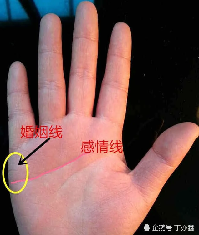 手掌纹能反映出哪些婚姻特征，不清晰本文值得收藏