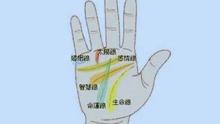 手相图解大全生命线起自食指和拇指之间的关系