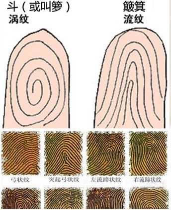 快速找答案：手纹有哪些秘密，从中可以看出什么