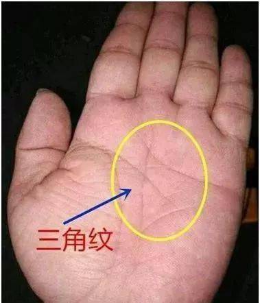 左手有三角纹意味着什么？它代表什么意义？