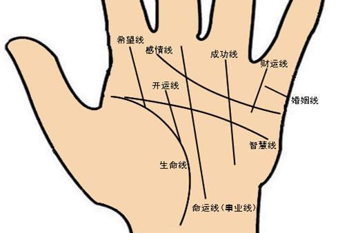 女人手掌纹路图解测命女人手相“左右手”含义