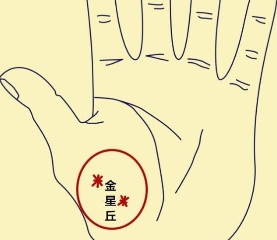 手纹图解怎么看手相算命图解从前的手相看法是什么